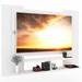 Painel para TV Até 32 Polegadas Ravi 2 Prateleiras Branco Fosco - Panorama Móveis