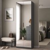 Sapateira Sublime 2 Portas com Espelho 100% Mdf Grafitto - Mambel