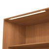 Cristaleira Mônica 4 Portas com Vidro e Led Canela - Kappesberg