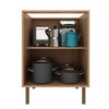 Balcão de Cozinha 60 Cm 2 Poras 1 Prateleira Cz3140 Freijó - Tecno Mobili