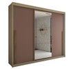Guarda-Roupa Casal Cardial 3 Portas 6 Gavetas com Espelho Cappuccino/Terracota - Panorama Móveis