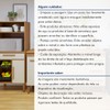 Cozinha Compacta Sorocaba 4 Portas 4 Gavetas Nature - Kaiki Móveis