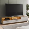 Rack para TV Até 75 Polegadas Ravana 1 Porta 2 Gavetas com Led Arenas - Art In Móveis