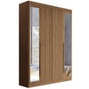 Guarda-Roupa Casal Loanda 4 Portas 2 Gavetas Frisado Flex com Espelho Jatobá - Pnr Móveis