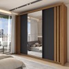 Guarda-Roupa Casal Argentina 3 Portas 2 Gavetas Flex com Espelho Preto Prime Tx/Amêndola Nude - Panorama Móveis