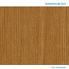 Guarda-Roupa Casal Stella 8 Portas 4 Gavetas 100% Mdf Cinamomo - Acp Móveis