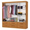Guarda-Roupa Solteiro Aria 6 Portas 6 Gavetas Cinamomo - Pnr Móveis
