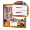 Guarda-Roupa Solteiro Regalle 6 Portas 2 Gavetas com Espelho Cinamomo/Branco - Pnr Móveis