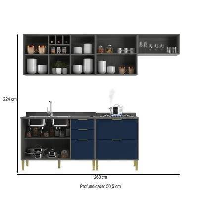 Cozinha Compacta Domus 6 Portas 5 Gavetas Silver/Royal - Hecol Móveis