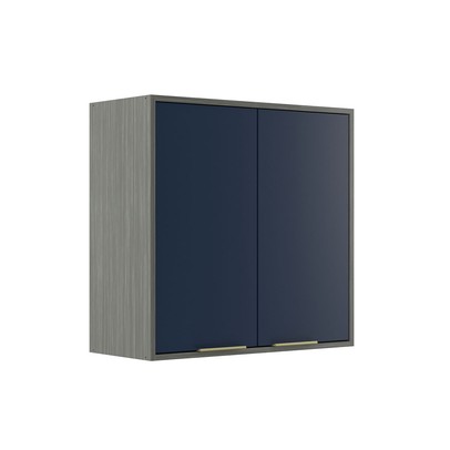 Armário Aéreo Cozinha 70 Cm Domus 2 Portas Silver/Royal - Hecol Móveis