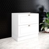 Balcão de Cozinha 80 Cm Americana 2 Gavetas Branco Hp - Henn