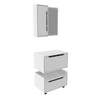 Armário de Banheiro 60 Cm 1 Gaveta 2 Portas com Espelho Bn3692 Branco - Tecno Mobili