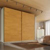 Guarda-Roupa Casal Hanover 2 Portas 6 Gavetas 100% Mdf Flex Off White/Peroba - Mademarques