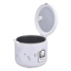 Panela Elétrica de Arroz Riso Pa6x 220v 5519 Branco - Agratto