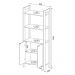 Estante para Livros 2 Portas 2 Prateleiras Az1009 Preto/Nogal - Tecno Mobili