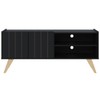 Rack para TV Até 55 Polegadas Space 2 Portas 1 Prateleira Preto Fosco - Colibri