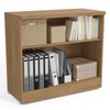 Armário para Escritório 1011a 2 Portas Itapua - Kappesberg
