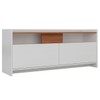 Rack para TV Até 42 Polegadas 2 Portas Branco/Nogal - Hecol Móveis