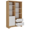 Estante para Livros Space 1 Porta 2 Gavetas Olmo/Branco - Artany Móveis