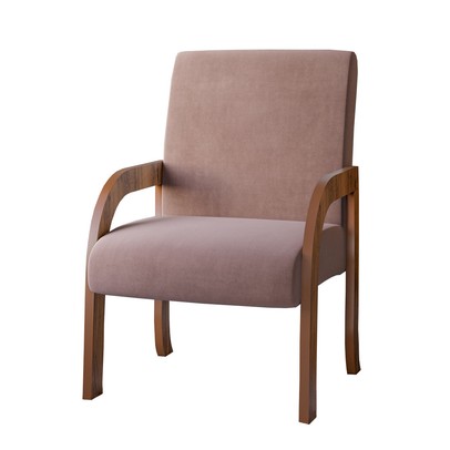 Poltrona Veneza Seda/Veludo Rosa - Vian