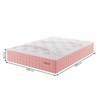 Colchão Queen Size Arezo Rose - Vian