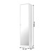 Armário Multiuso Reflex 1 Porta Espelhada Branco - Demóbile