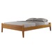 Cama Queen Turca Slim Amêndoa/Mel - Josandro
