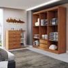 Guarda-Roupa Casal Aurora 6 Portas 2 Gavetas com Cômoda 1 Portas 5 Gavetas Cinamomo - Panorama Móveis