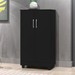 Armário Multiuso Smart 2 Portas 3 Prateleiras Preto  - J&a Móveis