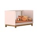 Quarto Infantil Completo Lion 1 Porta 4 Gavetas Rosa - Pnr Móveis