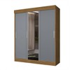 Guarda-Roupa Casal Paris 3 Portas 2 Gavetas com Espelho Flex Nature/Cinza - J&a Móveis