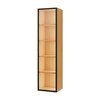 Nicho Suspenso Led 165cm com Porta de Vidro - Carvalho Rosé