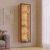 Nicho Suspenso Led 165cm com Porta de Vidro - Carvalho Rosé