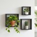 Conjunto Nichos Decorativo  Preto - Olivar Móveis