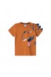 Conjunto Masculino Infantil Savage Dino