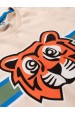 Conjunto Masculino Infantil Tiger