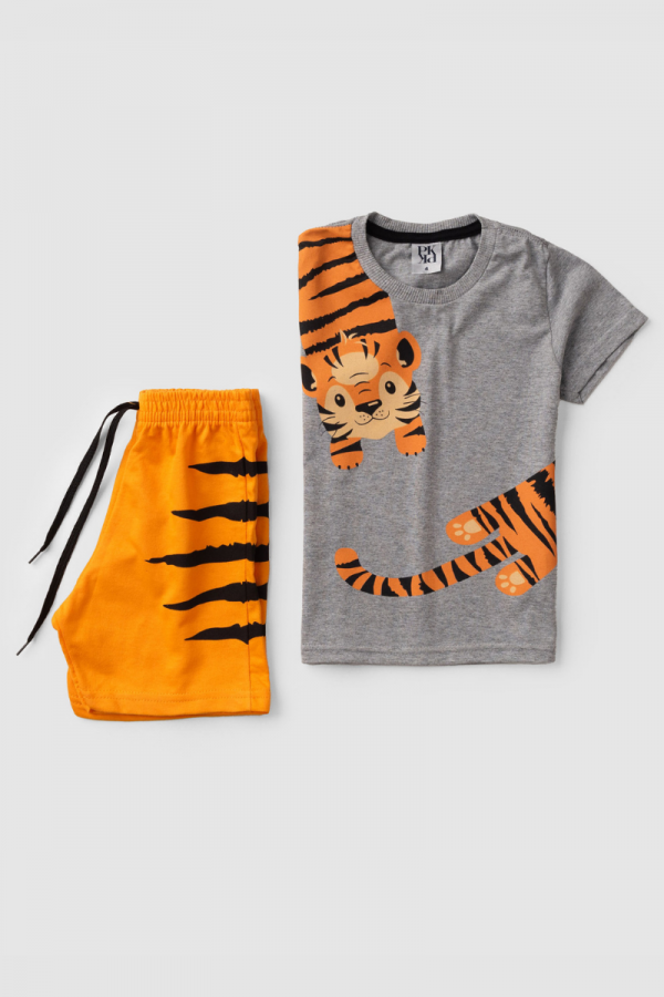 Conjunto Masculino Infantil Tigrinho Mescla