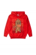 Conjunto Masculino Infantil Green Gekko - Pj Masks