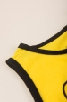Conjunto Infantil Masculino Rugido de Tigre