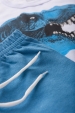 Conjunto Masculino Infantil Dino Rex Azulado
