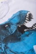 Conjunto Masculino Infantil Dino Rex Azulado
