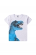 Conjunto Masculino Infantil Dino Rex Azulado