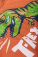 Conjunto Masculino Infantil T-Rex óculos