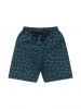 Conjunto Infantil Masculino Pequeno Jacaré