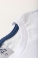 Conjunto Masculino Infantil Urso Pardo