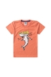 Conjunto Infantil Masculino Atitude Radical