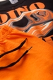 Conjunto Masculino Infantil Fóssil de Dino