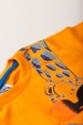 Conjunto Masculino Infantil Girafa Sun Laranja