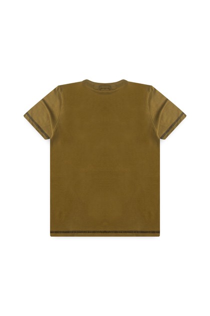 Camiseta Masculina Tigre Oriental