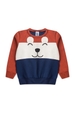 Conjunto Infantil Masculino Ursinho Tricolor